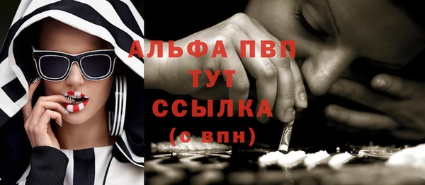 шишки Баксан