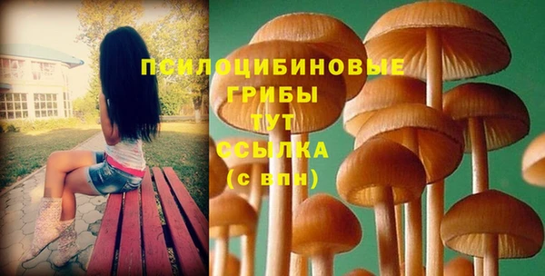 стаф Рославль